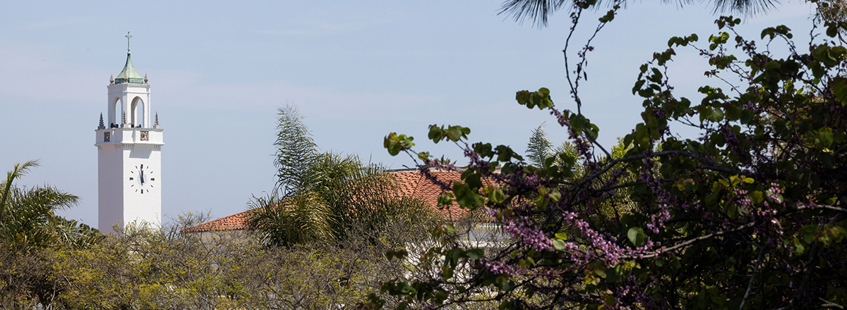 Sacred heart Chapel Clock Tower in the distance, with vegetation in the front.